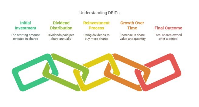 What is Compounding in Stock Investing (With Real Examples) 6 Examples of Compounding in Stock Investing
